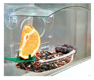Mixed Treat Window Feeder