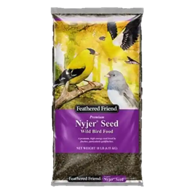 Nyjer Seed Wild Bird Food, 10 Lb. Bag