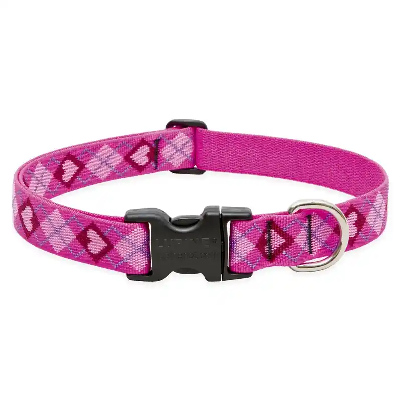 Dog Collar, Adjustable, Puppy Love, 1 X 16 To 28-in.