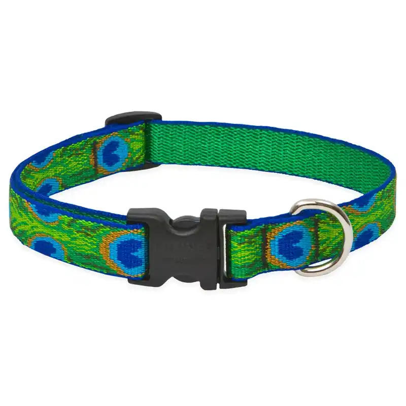 Dog Collar, Adjustable, Tail Feather, 3/4 X 13 To 22-in.