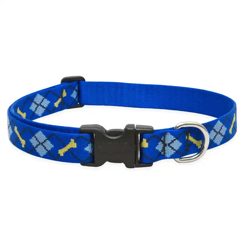 Dog Collar, Adjustable, Dapper Dog, 1 X 16 To 28-in.