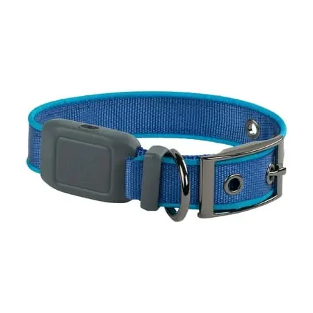 Nitedog Rechargeable Lighted Dog Collar, Blue Leds, Small Dogs