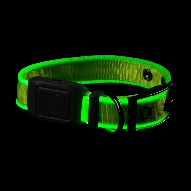 Nitedog Rechargeable Lighted Dog Collar, Green Leds, Small Dogs