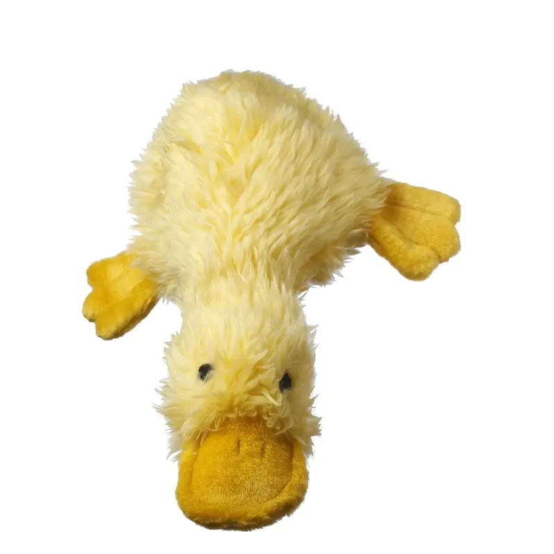 Duckworth Webster For Dog Assorted Plush Duck Dog Toy Medium 1 Pk