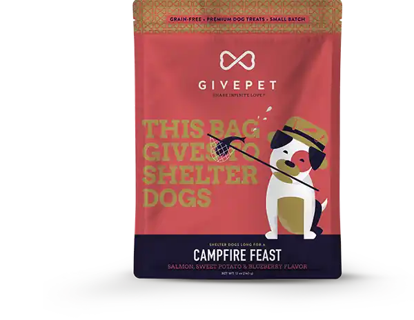 Campfire Feast Salmon & Blueberry Dog Treats, 12 Ounce