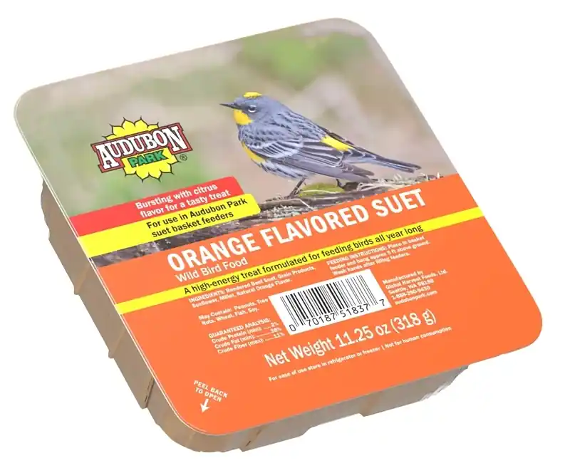 13768 Orange Flavored Suet, 11.25 Ounce For Fruit Loving Birds
