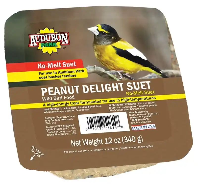 13830 Premium Peanut Suet Treat For Birds, 11 Ounces