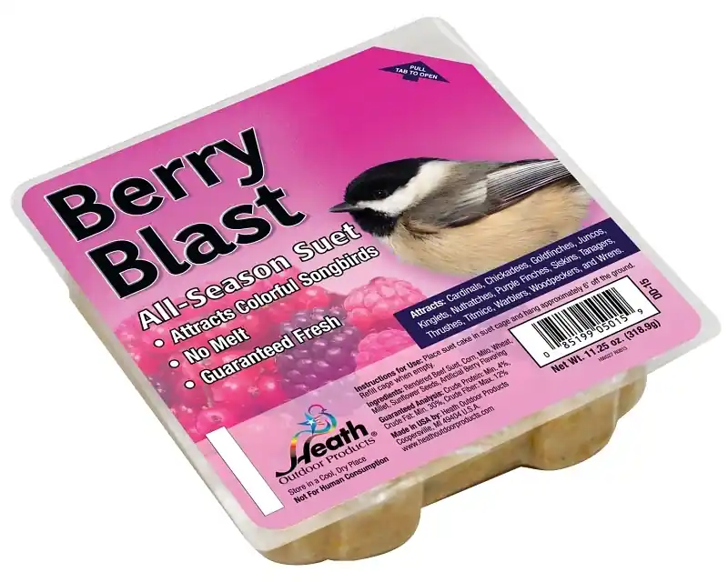 Suet Cake, Berry Blast, 11.25-oz.